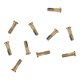 Screw compatible with Apple iPhone 6, iPhone 6 Plus, iPhone 6S, iPhone 6S Plus, (golden, 10 pcs., external)
